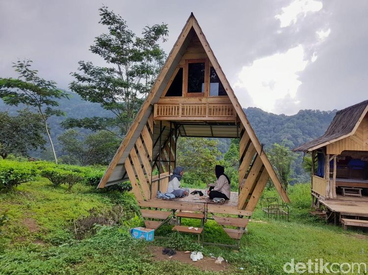 Menikmati Keheningan Alam Perkebunan Teh Margawindu Sumedang