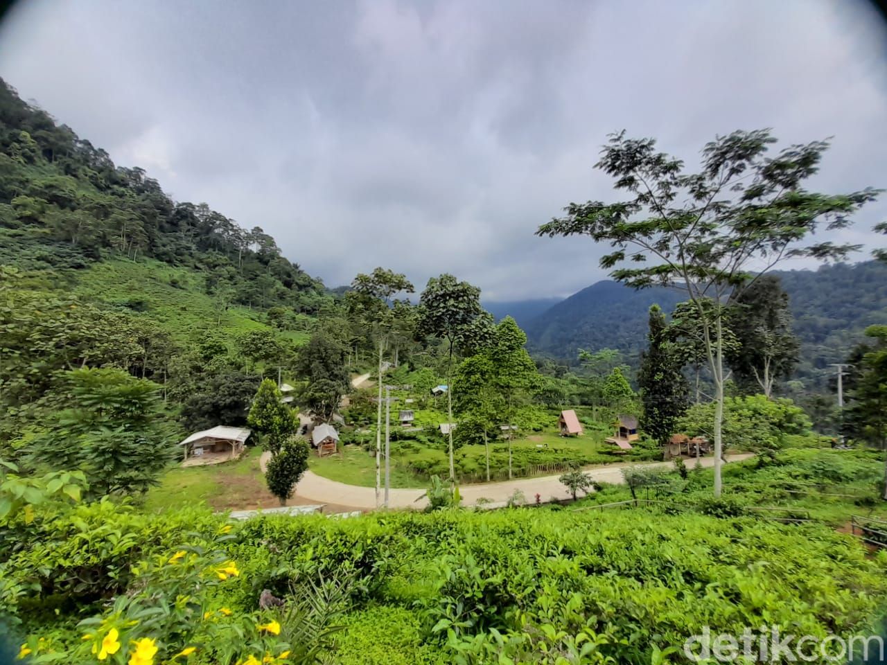 Wisata alam sebagian orang menjadi media terapi untuk me-refresh otak setelah disibukan dengan rutinitas pekerjaan, terlebih di momen libur tahun baru. Seperti mengunjungi kawasan perkebunan teh Margawindu  di Desa Citengah, Kabupaten Sumedang.