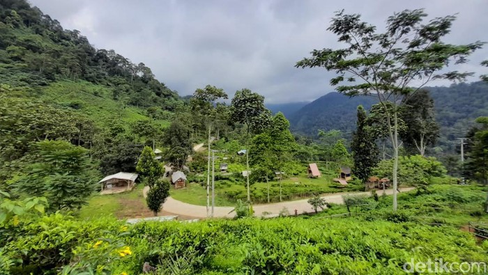 Menikmati Keheningan Alam Perkebunan Teh Margawindu Sumedang Wisata alam sebagian orang menjadi media terapi untuk me-refresh otak setelah disibukan dengan rutinitas pekerjaan, terlebih di momen libur tahun baru. Seperti mengunjungi kawasan perkebunan teh Margawindu di Desa Citengah, Kabupaten Sumedang.