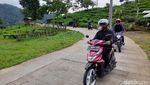 Menikmati Keheningan Alam Perkebunan Teh Margawindu Sumedang