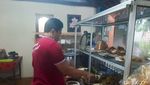 Rekomendasi Makan Siang di Bali, Nikmati Sedapnya Nasi Ayam Racikan Mek Juwel