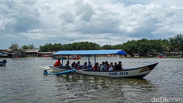 Traveler akan diajak mengelilingi kawasan laguna pantai Glagah selama kurang lebih 20 menit. Kebanyakan wisatawan berasal dari DIY, Klaten, Solo, lalu Jawa Timur, dari Jakarta juga banyak. (Jalu Rahman Dewantara/detikTravel)