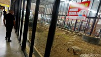 Bersebelahan dengan area bekas mesin uap, dibangun taman berdinding kaca yang dihuni beberapa satwa unggas. Kita bisa melihat dan mendengar suara burung-burung berkicau.