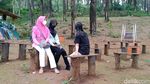 Soko Langit, Sarang T-Rex dari Pekalongan