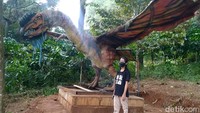 Masuk kawasan Dino Park setempat, pengunjung akan disuguhkan seekor vilociraptor yang mempunyai tinggi satu meter dan panjang 2,5 meter. (Robby Bernardi/detikcom)