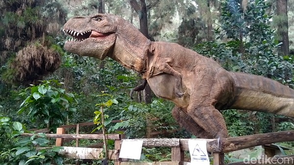 Sarang T-Rex ini berada di Desa Karaggondang, Kecamatan Karanganyar, Kabupaten Pekalongan, Jawa Tengah. (Robby Bernardi/detikcom)