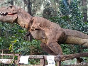 Bukan Disneyland, Ini Sarang T-Rex di Pekalongan