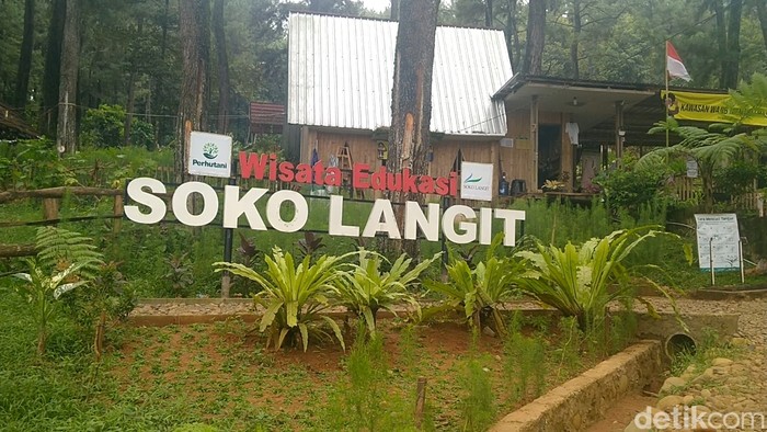 Soko Langit di Pekalongan Soko Langit di Pekalongan