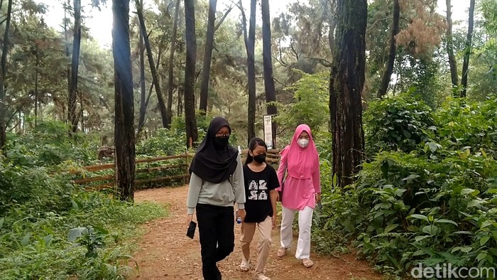 Soko Langit di Pekalongan