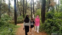 Kalau mau berkunjung ke sini, usahakan pagi hari, ya. Karena, sering hujan di siang hari. (Robby Bernardi/detikcom)