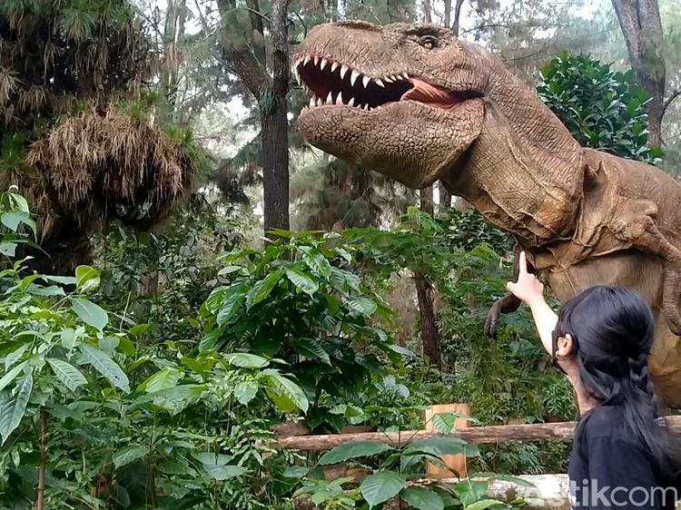 Soko Langit, Sarang T-Rex dari Pekalongan