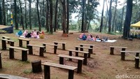 Untuk bisa berjalan-jalan di sarang T-Rex yang berada di tengah hutan pinus, para pengunjung akan ditarik tiket sebesar Rp 15 ribu. (Robby Bernardi/detikcom)