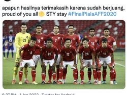 Timnas Indonesia dan Shin Tae-yong, Banjir Dukungan Netizen