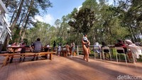 Warung Kopi Gunung sendiri menempati areal Green Grass Perhutani seluas 8 ribu meter persegi. Saat ini baru sekitar 4 ribu meter yang sudah dimanfaatkan sebagai area kafe. (Whisnu Pradana/detikTravel)