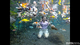 Wisata Foto Underwater di Kaki Gunung Semeru