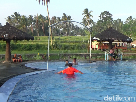 Di wisata alam Tirtosari, pengunjung bisa berenang dan berfoto under water bersama ikan koi yang warna-warni. Wisata ini berada di Desa Penanggal, Kecamatan Candipuro, Lumajang.