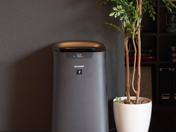 Imbas Abu Anak Krakatau, Penjualan Air Purifier Sharp Naik 3 Kali Lipat