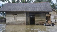 Tak hanya Aceh Utara, banjir juga menerjang kawasan Aceh Timur. Tepatnya di kawasan Desa Cek Mbon, Kecamatan Pareulak. ANTARA FOTO/Hayaturrahmah