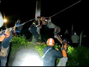 2 Warga dan 4 Kerbau Terjebak Banjir Lahar Semeru 12 Jam, Evakuasinya Dramatis