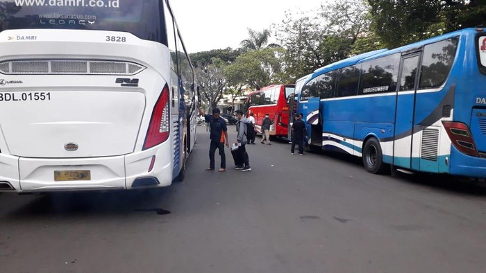 Bus AKAP Damri