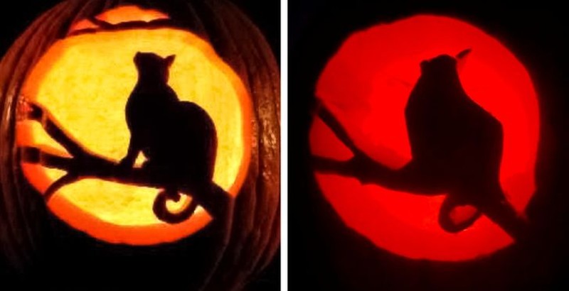 Ekspektasi vs Realitas Belanja Online