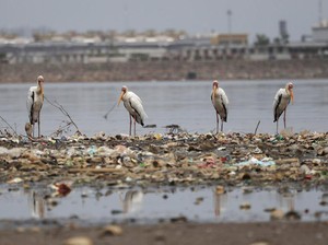 Startup Pengelolaan Sampah Dapat Suntikan dari Fund