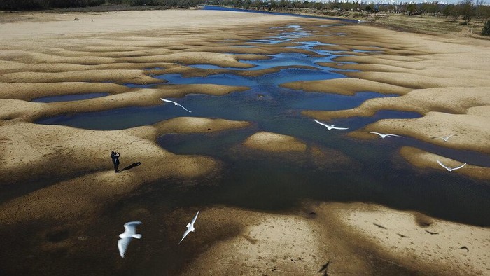 Birds fly over a man taking photos of the exposed riverbed of the Old Parana River, a tributary of the Parana River during a drought in Rosario, Argentina, Thursday, July 29, 2021. (AP Photo/Victor Caivano)