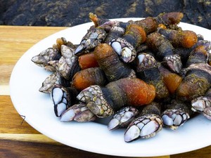 Lebih Mahal dari Lobster! Seafood Seram Ini Rp 3 Juta per Kilogram