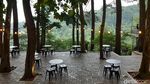 Potret Kopi Daong, Nikmatnya Ngopi di Tengah Pepohonan Pinus