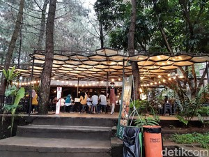 5 Kafe Hutan yang Asri, Bisa Buat Kumpul Keluarga