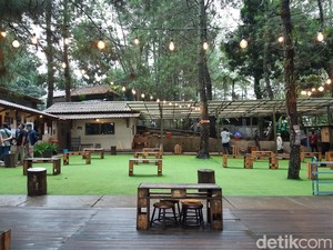 Kopi Daong Bogor, Nikmati Secangkir Kopi di Tengah Rimbunnya Pepohonan