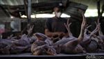 Menyambut Pemulihan Ekonomi Nasional 2022