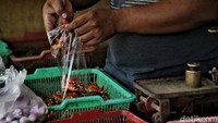 Selain itu saat ini juga pemerintah mulai memberlakukan sekolah tatap muka secara utuh.