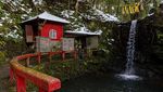 Para Penyembah Hutan di Jepang Gelar Ritual Tahun Baru