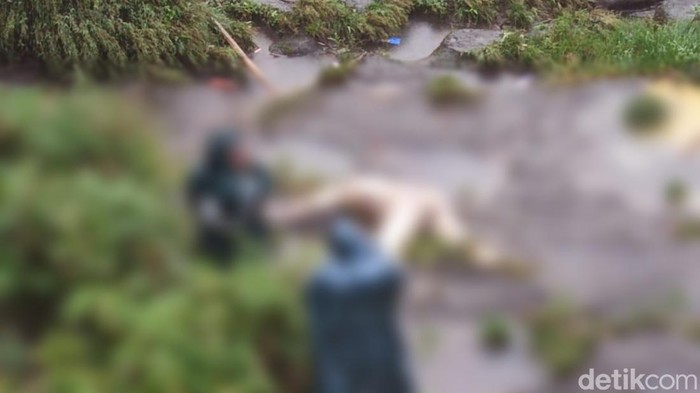 Warga Desa Karangdoro, Kecamatan Tegalsari, Banyuwangi menemukan mayat wanita di tepi Dam Blokagung. Mayat itu sudah membengkak.