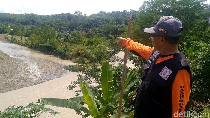 Petugas SAR menunjukan lokasi korban yang memanjat pohon di daratan yang berada di tengah Sungai Pemalang