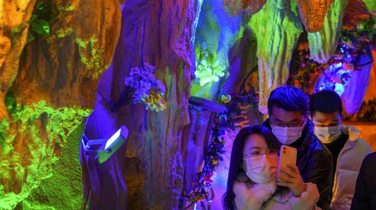Potret Kemeriahan Tahun Baru di Penjuru Dunia A woman wearing a face mask to help curb the spread of the coronavirus takes a smartphone photo as she and her friends walk past the illuminated mocked rock at the Nanluoguxiang, the capital citys popular tourist spot during the weekend holiday in Beijing, Sunday, Jan 2, 2022. (AP Photo/Andy Wong)