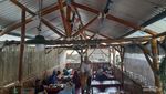 Rekomendasi Kuliner Mantap di Kamojang, Warung Si Raja Bebek!