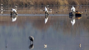Pada tahun 2013, ilmuwan di Israel menemukan struktur batu besar di bawah laut Galilea. Monumen itu yang dibuat dengan banyak batu raksasa, ditumpuk satu sama lain dengan berat 60 ribu ton dan tinggi 10 meter. Belum diketahui apa kegunaannya di masa silam. Foto: AP/Ariel Schalit