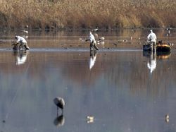 Deretan Temuan Arkeologi Paling Misterius, Ilmuwan Bingung