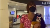 Lucinta Luna juga punya spirit doll dan pernah bikin heboh dengan mengajak bonekanya jalan-jalan ke mall. Spirit doll itu bernama Fitri. Foto: dok. Instagram Lucinta Luna.