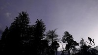 Siluet atlet Austria, Daniel Tschofenig terbang di udara saat melakukan lompatan di etape ketiga dalam kejuaraan Empat Bukit ke-70 di Innsbruck, Austria (3/1/2021).