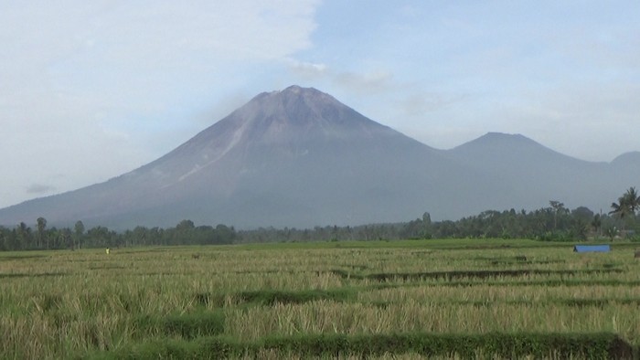 gunung Semeru mengeluarkana awan panas guguran sejauh 5 kilometer