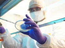 10 Ilmuwan RI Teratas Berdasarkan Indeks I10 Versi AD Scientific 2026, Ada Dosenmu?