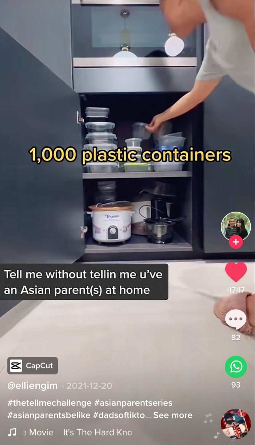 Kebiasaan Orang Tua Asia! Koleksi Lap Dapur hingga Wadah Plastik Makanan