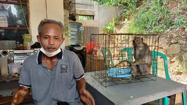 Monyet liar ditangkap warga Tangsel (Dok Damkar Tangsel)