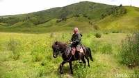 Kalau mau mencoba adrenalin yang lebih ekstrem, tunggangi saja kudanya sendiri dan berlarilah sekuat tenaga keliling Bukit Teletubbies. Tapi tetap perhatikan faktor keamanan ya.