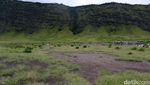 Nikmati Hijaunya Padang Savana di Bukit Teletubbies Bromo