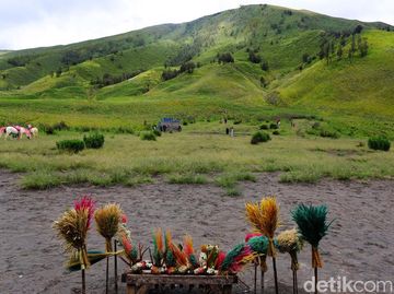 Nikmati Hijaunya Padang Savana di Bukit Teletubbies Bromo