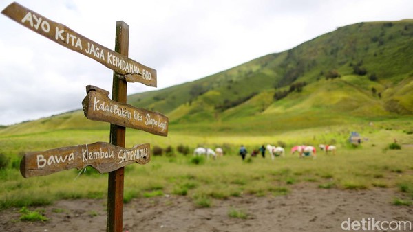 Namun, Bila di hitung dengan jarak antara loket pintu masuk hingga lokasi padang rumput Savana Teletubbies, maka jarak terpendek adalah melalui pintu masuk dari Kota Malang (Tumpang). Namun, Bila di hitung dengan jarak antara loket pintu masuk hingga lokasi padang rumput Savana Teletubbies, maka jarak terpendek adalah melalui pintu masuk dari Kota Malang (Tumpang).